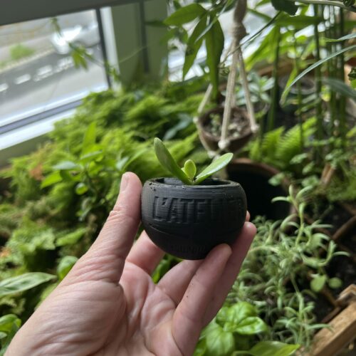 Petite Jungle à bicyclette Avec plante  | pot de fleurs de voyage