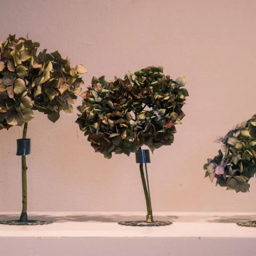 LE SOLIFLOR | MARKO