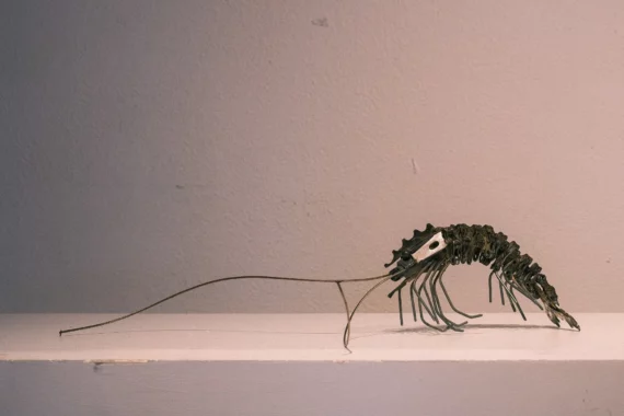 LA CREVETTE | MARKO