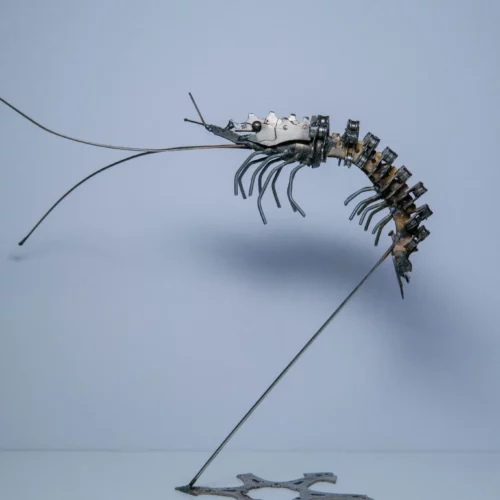 LA CREVETTE | MARKO