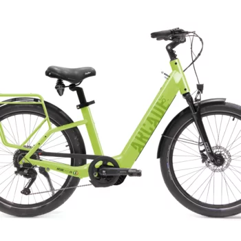 VAE Jo' Bosch epowered vert dérailleur 9 vit freins disques - Arcade