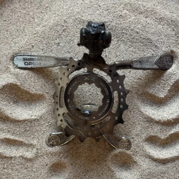 LE BB TORTUE , LE TORTILLON | MARKO (Copy)